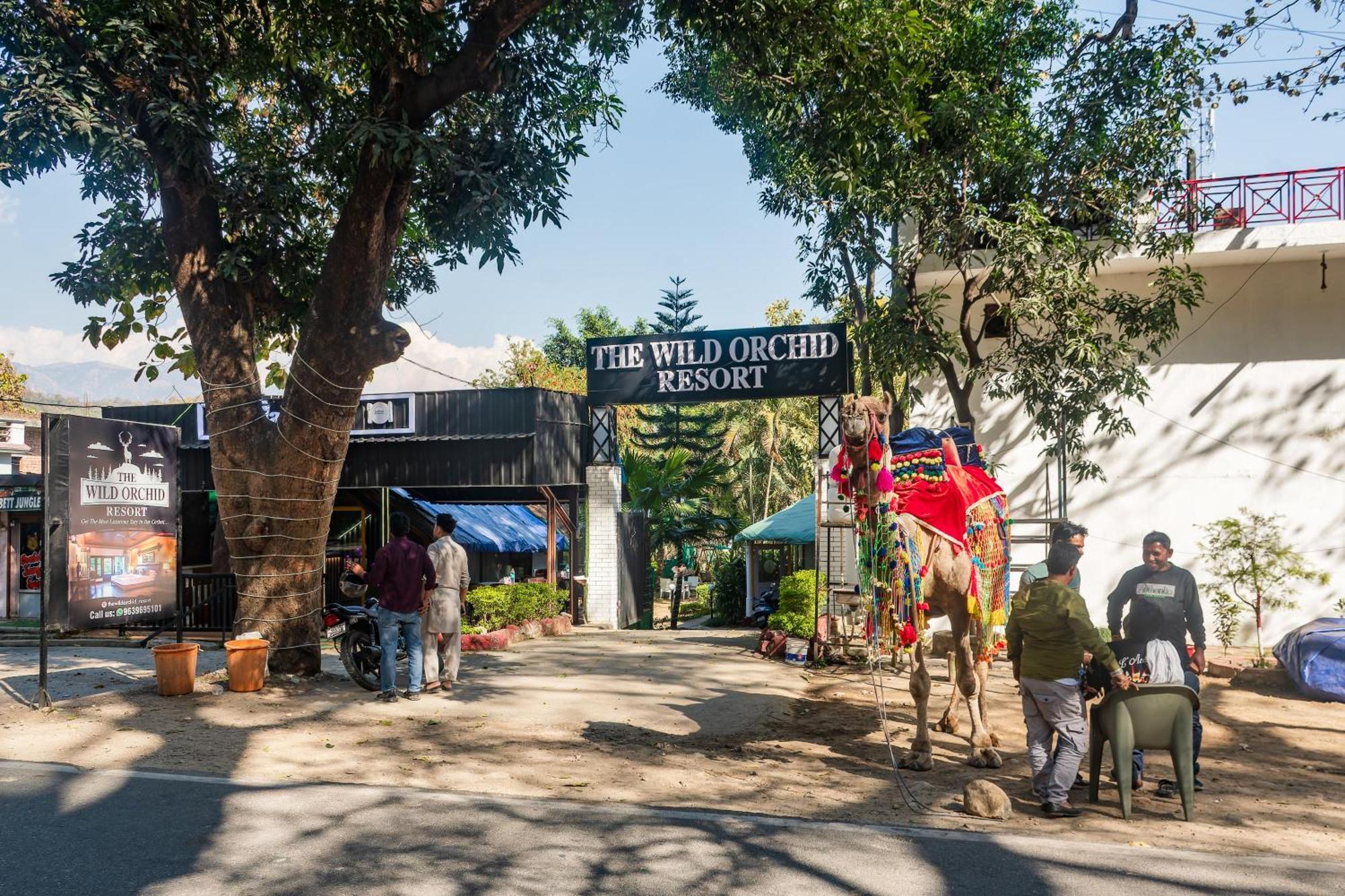 The Wild Orchid Resort Corbett Рамнаґар Екстер'єр фото